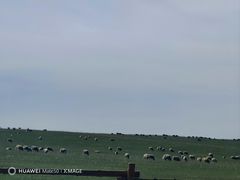 -莫日格勒旅游景区