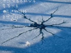 -前关湿地公园