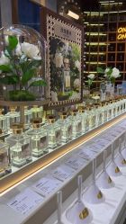 -香遇沙龙香水·调香·团建