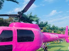 -秦皇岛乐岛海洋王国