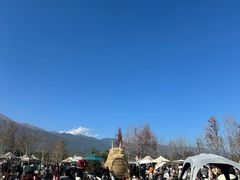 -猫米花园