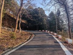 -午潮山国家森林公园