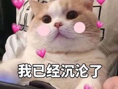 -南京交通职业技术学院第四食堂