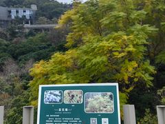 -福道
