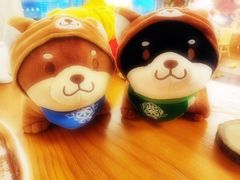 -豆柴町-柴犬主题狗咖(红鼎国际C座店)
