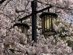 -苏州上方山国家森林公园