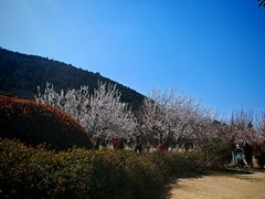 -云龙山