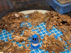 -争先鲜·蒸汽海鲜自助·鲜切牛肉