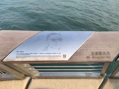 -星光大道