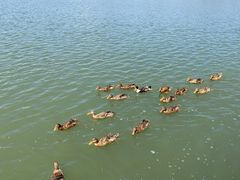 -野鸭湖国家湿地公园