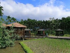 -海南槟榔谷黎苗文化旅游区