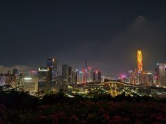 -莲花山公园