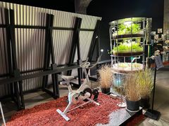 -现代汽车文化中心 Hyundai Motorstudio Beijing