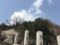 -北京鹫峰国家森林公园