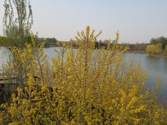 -东郊湿地公园
