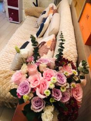 -赫本印象美容纤体