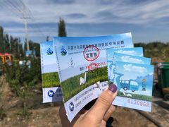 -乌梁素海景区