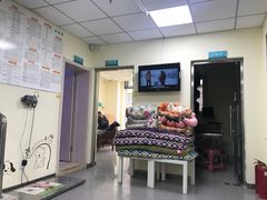 -瑞派宠物医院·24h·骨外科·皮肤科·全科宠物医疗转诊中心(沈阳浑南院)
