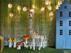 -亚马逊丛林水乐园