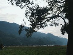 -广州市石门国家森林公园