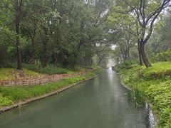 -北坞公园