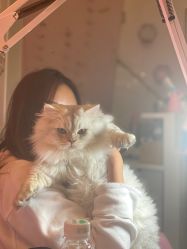 -Beauty Nails 美甲美睫皮肤管理