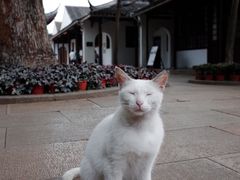 -西园戒幢律寺
