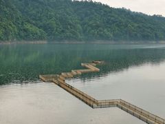 -千岛湖品鱼馆(钓鱼岛店)