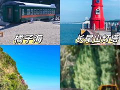 -南澳岛打卡果汁冰公司