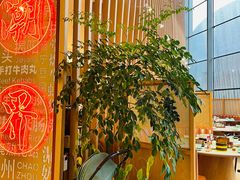 -潮界(虹桥新天地店)