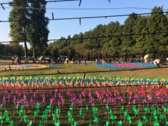 -嘉兴清池酒店温泉