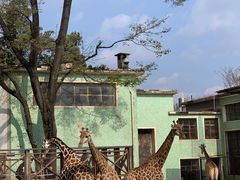 -昆明动物园