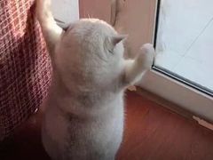 -万达广场(泰安泰山店)