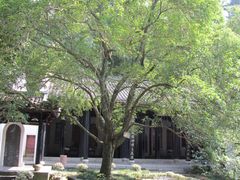 -白鹿洞书院