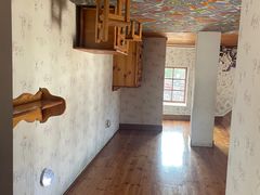 -金山农民画村-枫泾波兰倒置屋
