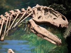 -自贡恐龙博物馆