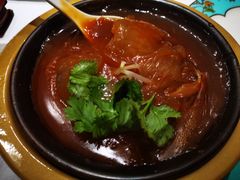-鱼翅楼·津派砂锅鱼翅(水上公园店)