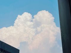 -顺香居·老字号湖北菜(江汉路店)