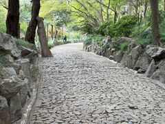 -叶家花园
