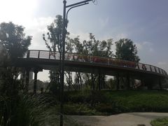 -府河摄影公园