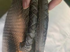 -爱革·洗衣改衣·洗鞋修鞋·洗包修包·奢侈品护理(宝地广场店)