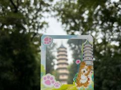 -灵谷景区