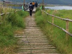 栈道-腾冲北海湿地