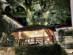 -普陀山雷迪森庄园