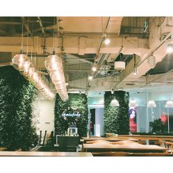 -悦诗风吟innisfree