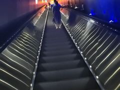 -白鹤梁水下博物馆