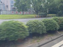 -长兴太湖图影湿地文化园