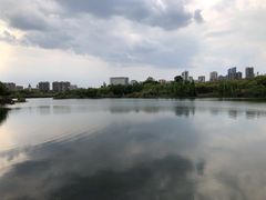 -眉山湿地公园(东坡区)