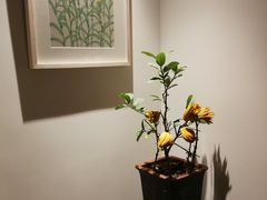 -梅间堂茶馆(绿地缤纷城店)