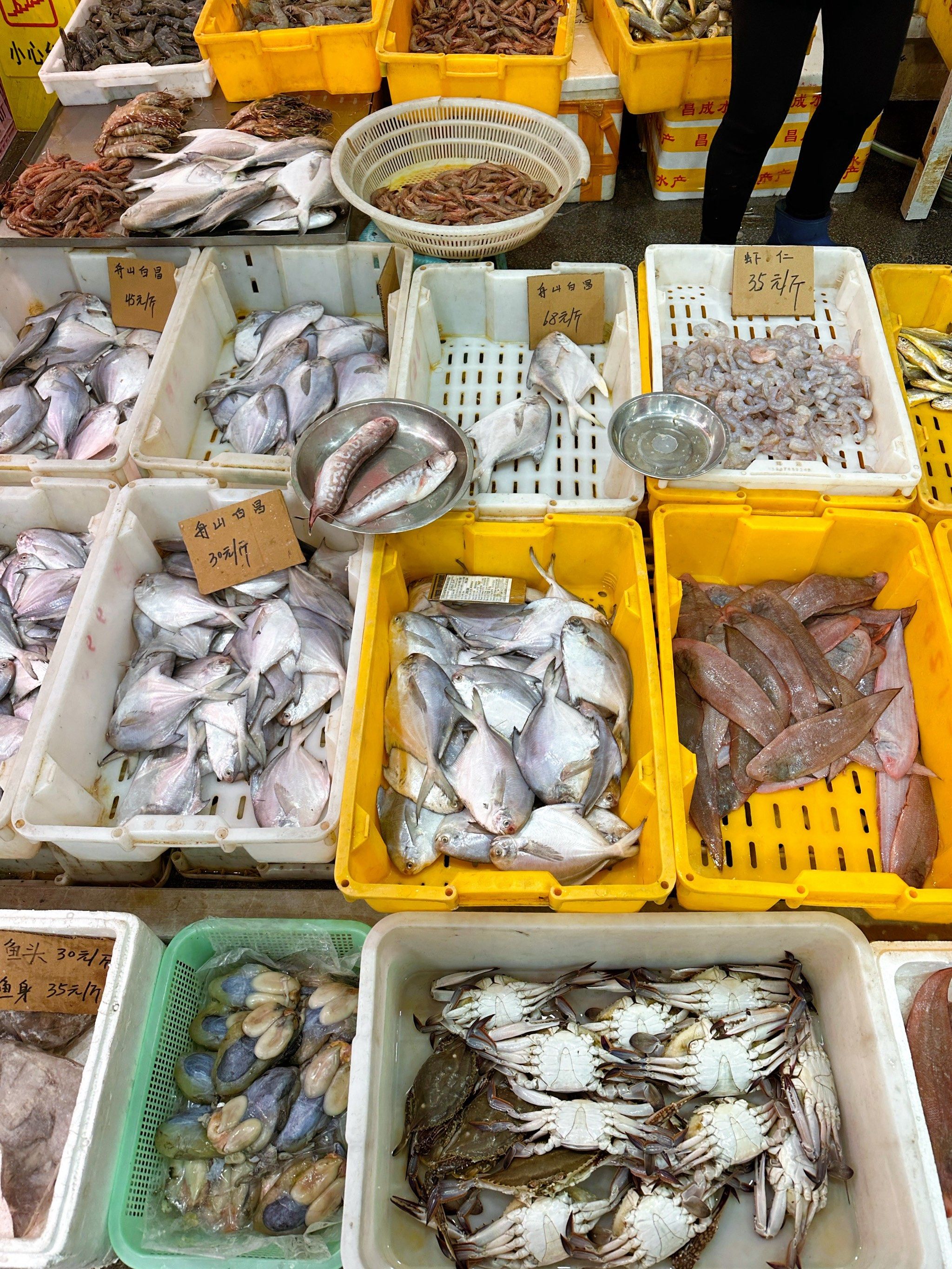 难得周末早起,溜去市场买点海鲜,
9月开海后,市场的海鲜种类越来越